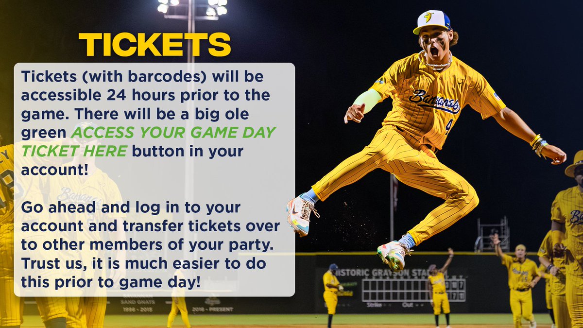 Savannah Bananas tweet media