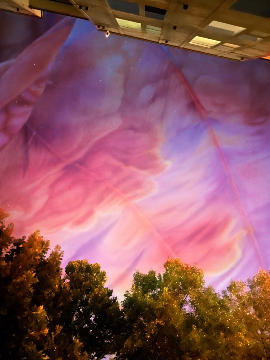 the northern lights from my backyard look like it’s been a long time coming