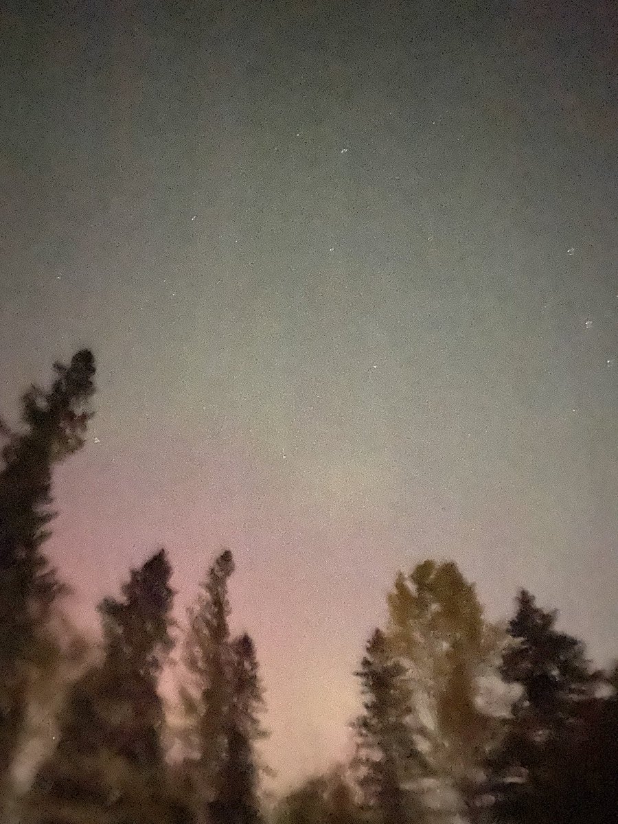 Ms Moore tweet media