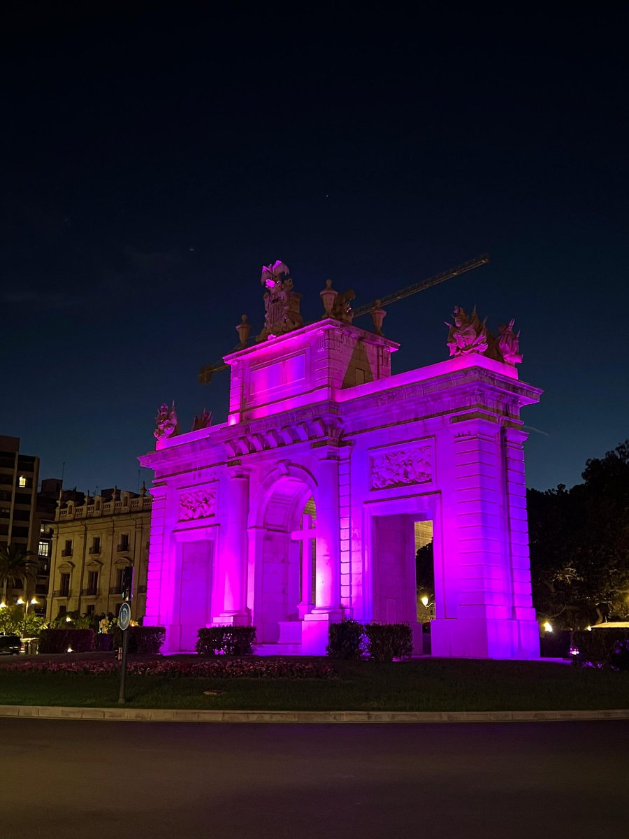 XFragil_CV's tweet photo. Esta noche la Porta  de la Mar de #Valencia se iluminaba de rosa para  visibilizar  el #SíndromeXFrágil, una #EnfermedadRara , genética y hereditaria. Lamentablemente el 80% de los casos está sin diagnosticar, importante por eso visibilizar #xfragil. Gracias @AjuntamentVLC https://t.co/H3OF0L9alB