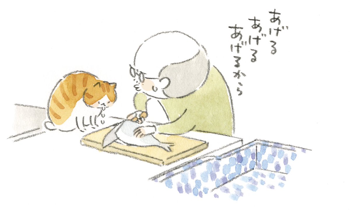 nyanta_mikan's tweet photo. 今朝のふたり　＃ねことじいちゃん https://t.co/Yfe5gOYudQ