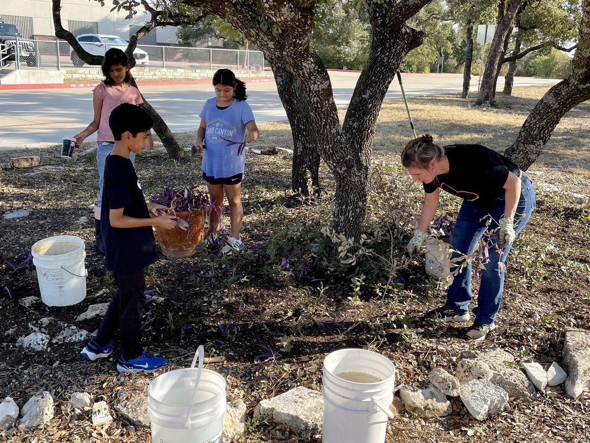 Señor Más tweet media