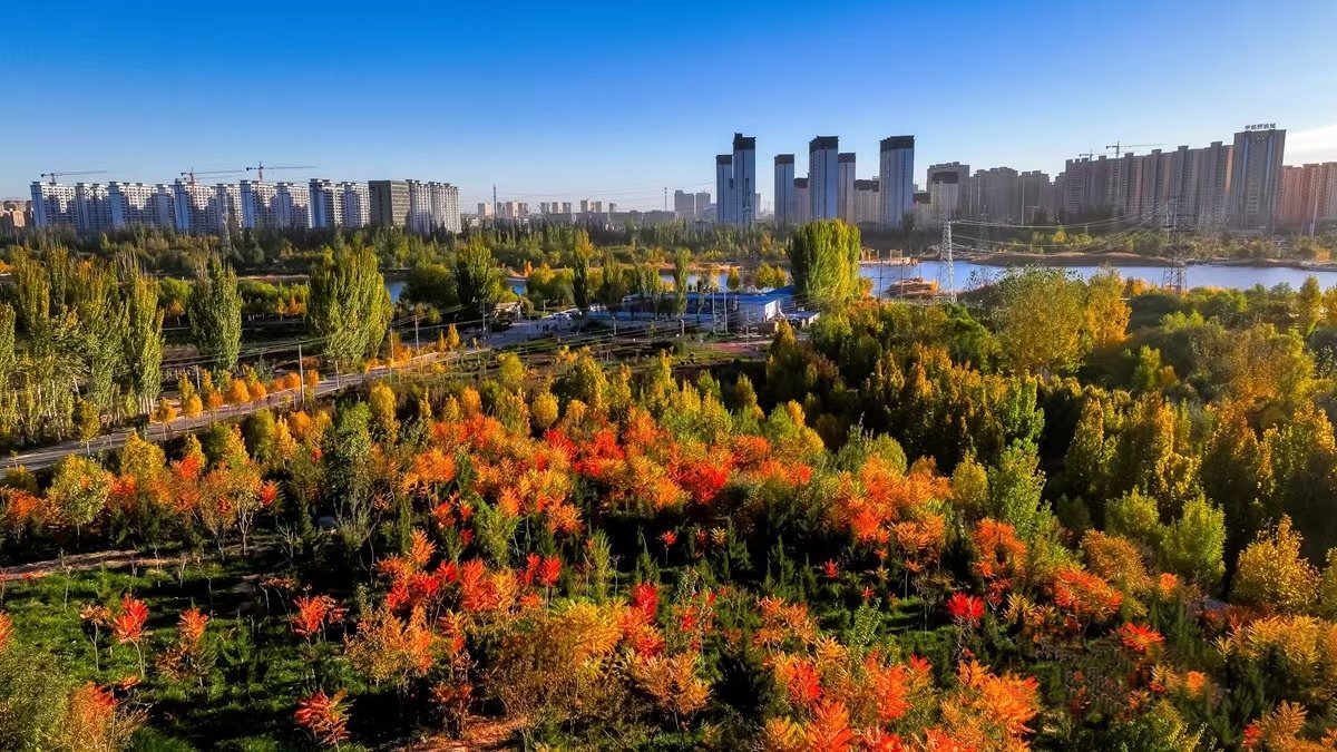 kashijiyi3613's tweet photo. #China #Xinjiang #Kashgar
#AutumnColours #PHOTOS #Photosatira #photochat
Is Kashi beautiful? https://t.co/M0GOEJGALu