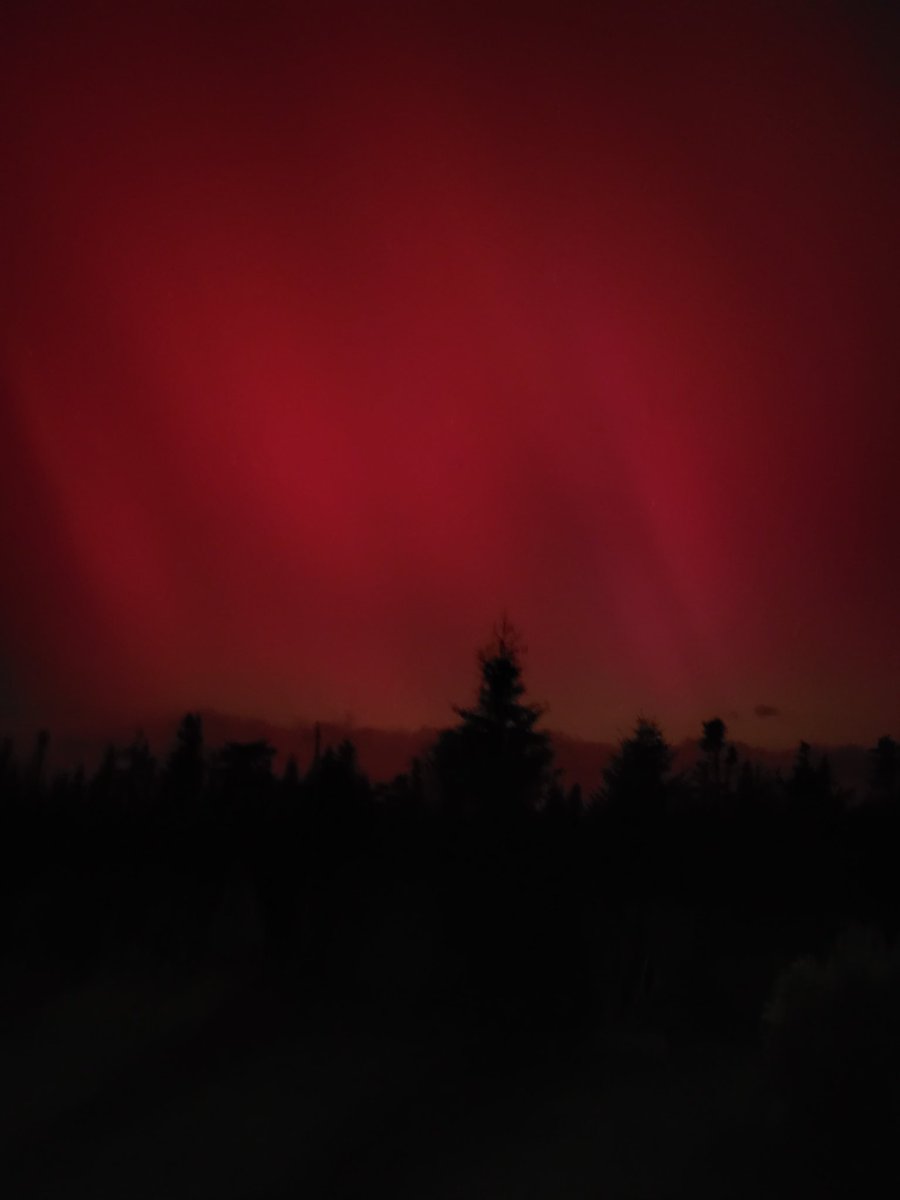 123_Bai's tweet photo. I never expected to see the northern lights from my front door!! #northernlights #nlwx https://t.co/Xlqg1fdeLQ