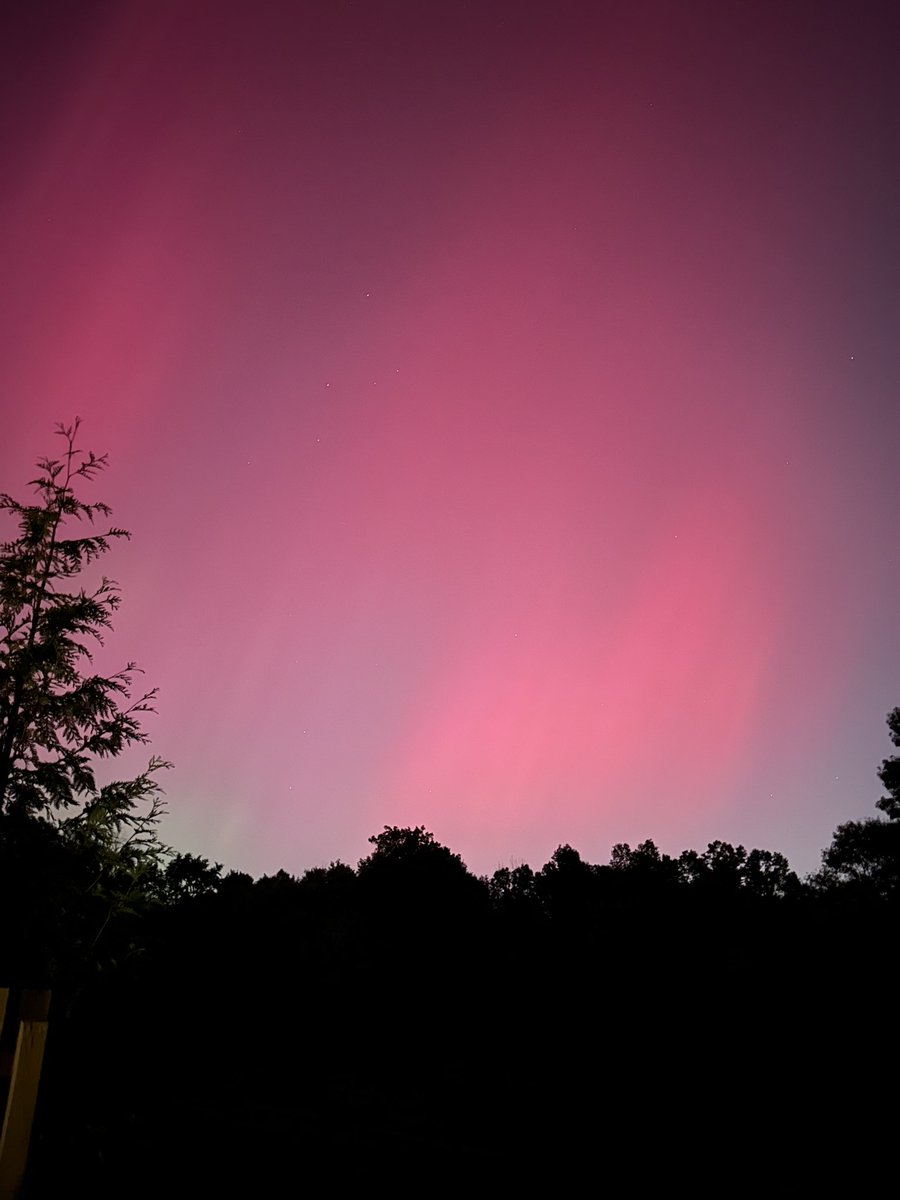 Wil van der Veen tweet media