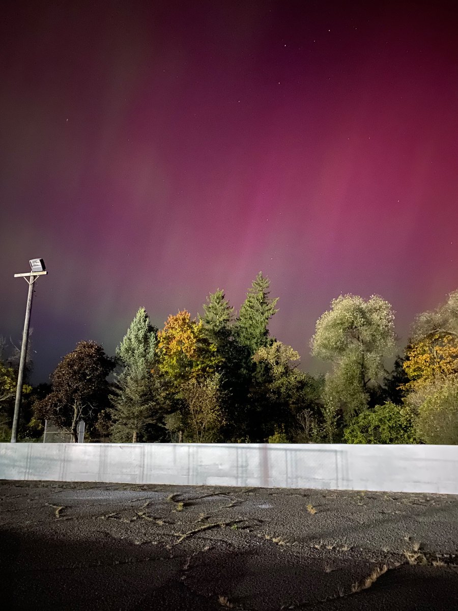 redneckjacket's tweet image. 