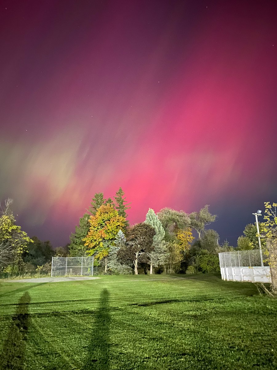 redneckjacket's tweet image. 