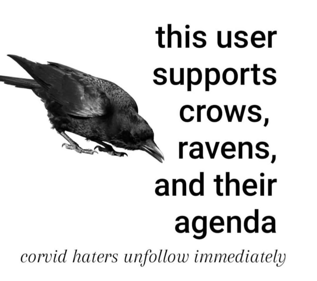 You heard me
