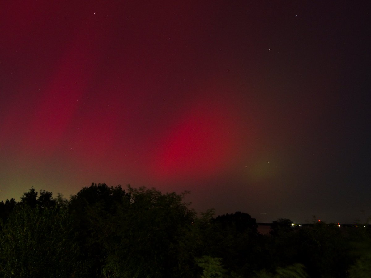 Scott V. Nguyen, PhD tweet media