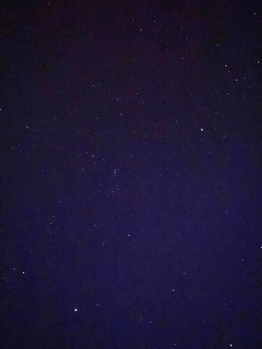 merite_wines's tweet photo. Had to go out to the vineyard at 5am as frost alarm went off to turn frost sprinklers on and were treated to THIS! #aurora #wrattonbully #auroraaustralis #aussiewine https://t.co/K7ymQq3d6s