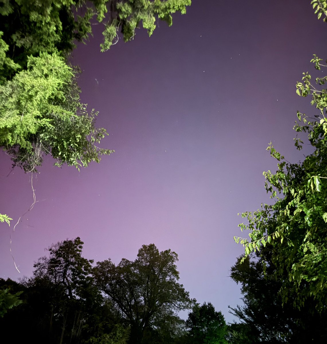 MyLineIsRed tweet media