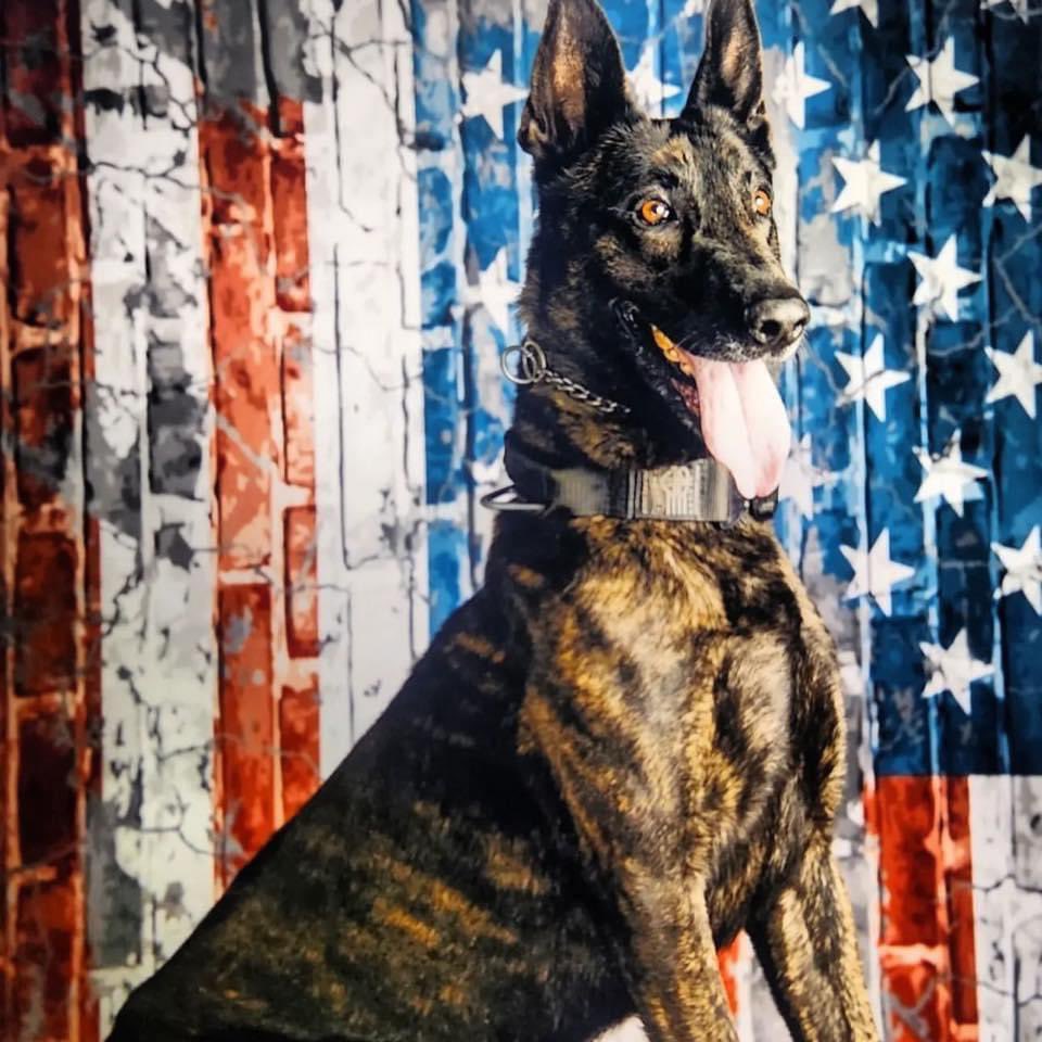 Richland County Sheriff's Dept. tweet media