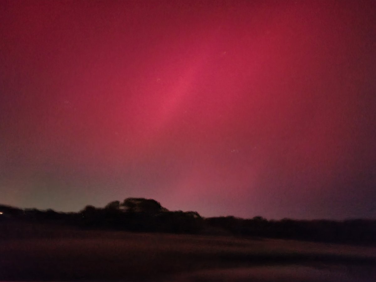 MamaSett tweet media