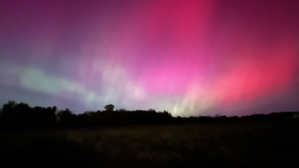 Nadia Nikulin tweet media