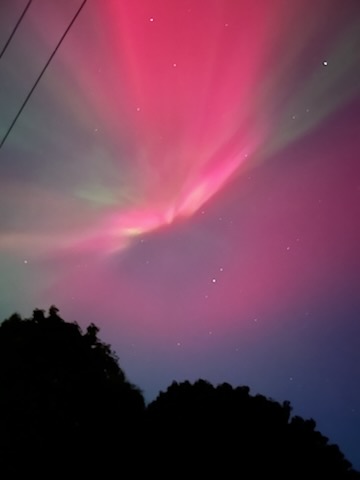 Little j Games. tweet media