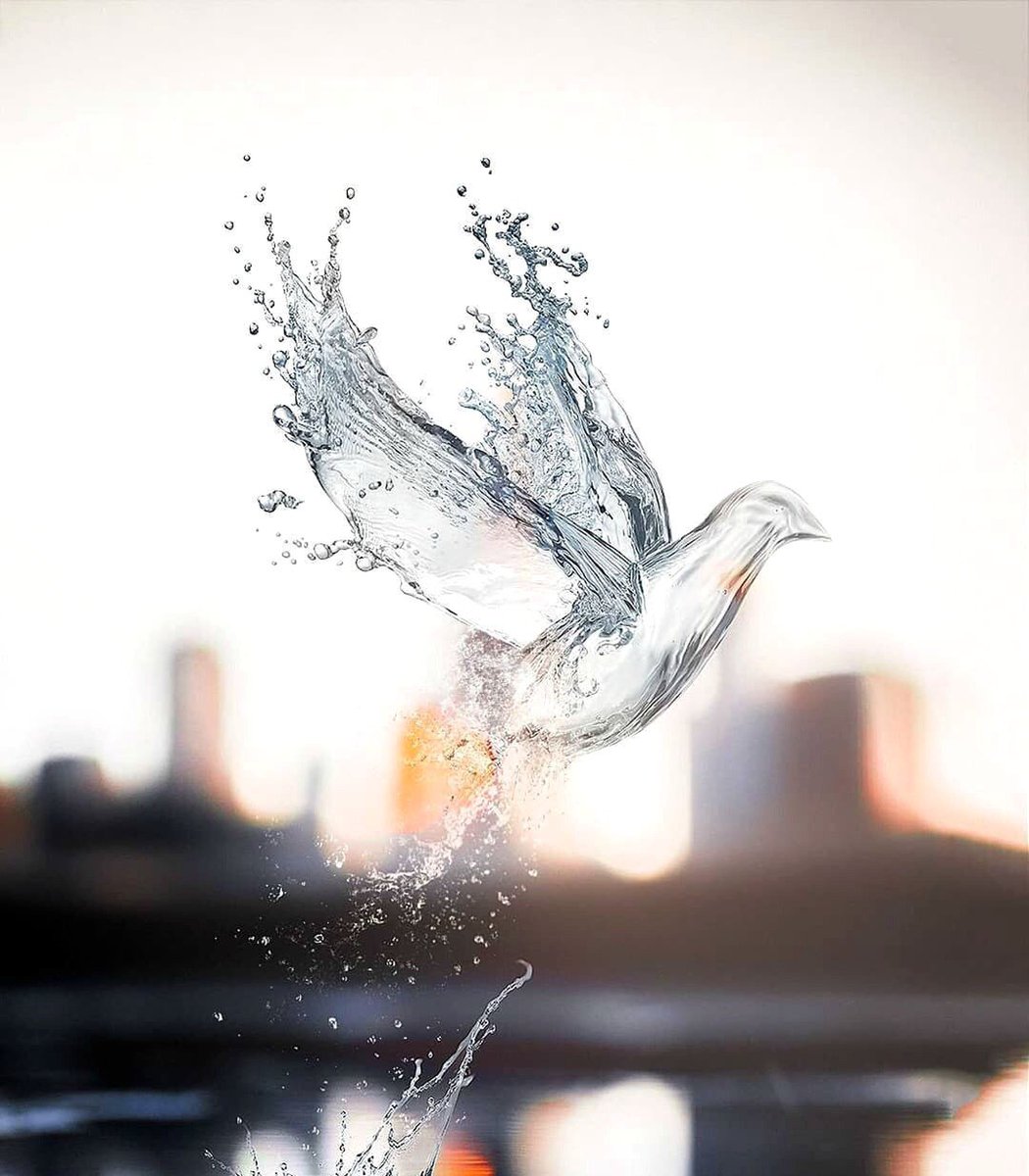 nguyen3_minh's tweet image. Don't be afraid to be vulnerable – it takes courage and strength.
