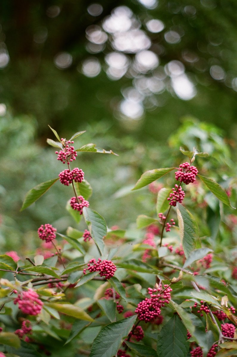 Beth Larter tweet media