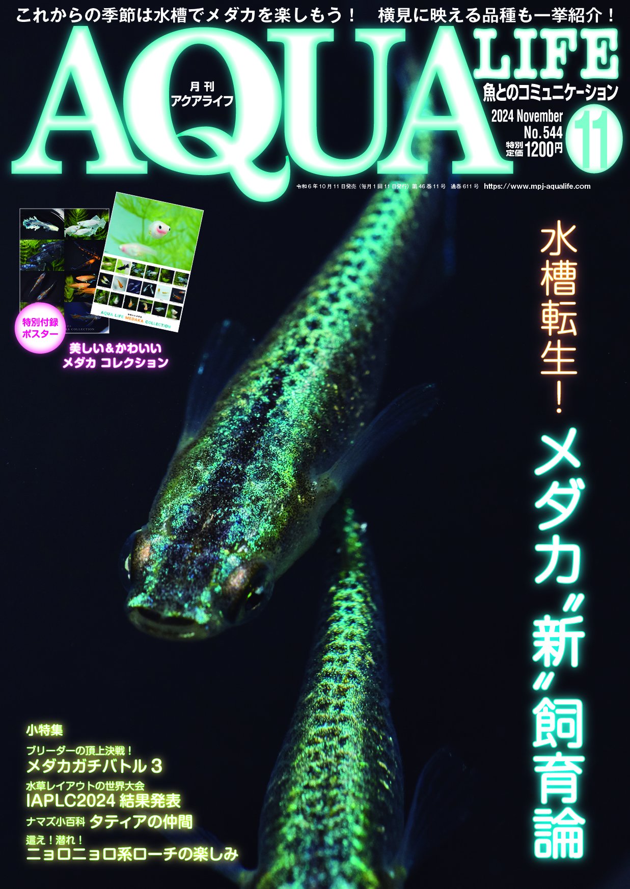 専用】月刊アクアライフ 2011〜2014年1〜12（No.378〜425） 変わん