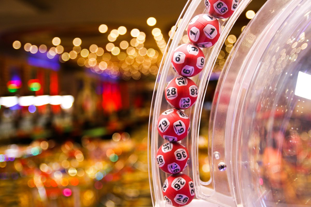 LEIDSA Lottery result today: check the winning numbers for Thursday, October 10, 2024 allworldnews.site/2024/10/10/lei…