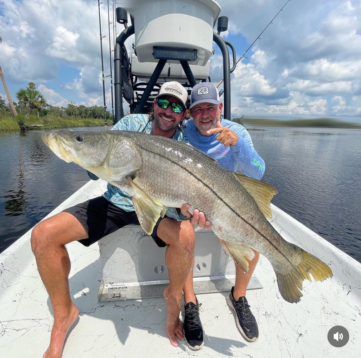 The Fishing Spice Man 🐟🎣 tweet media