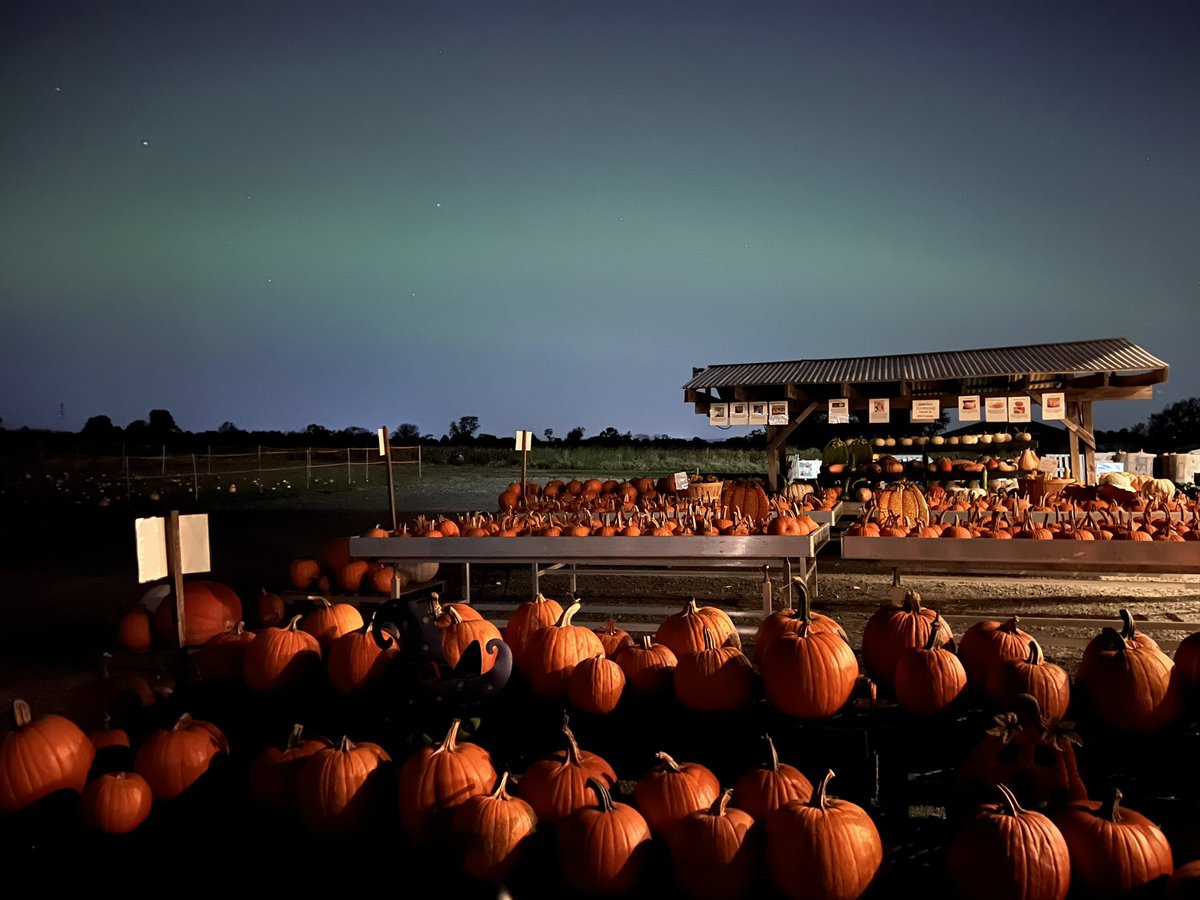 NJ Parenting tweet media