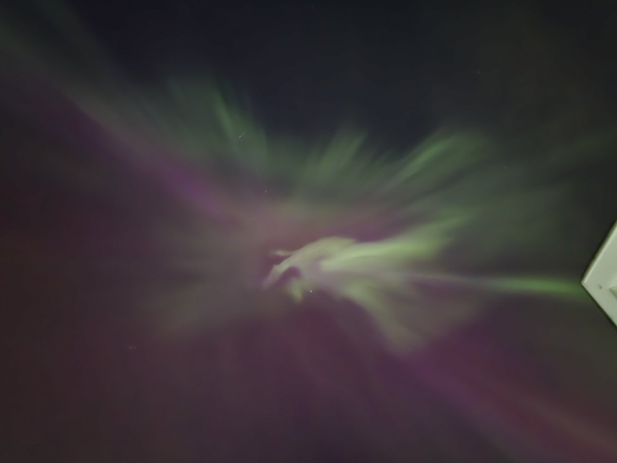 Kory Siegers tweet media