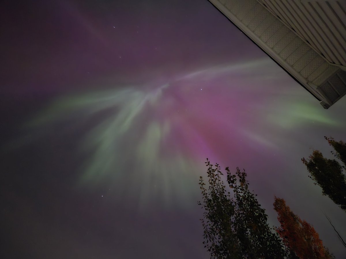 Kory Siegers tweet media