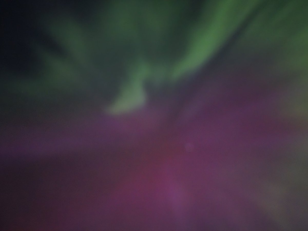 Kory Siegers tweet media