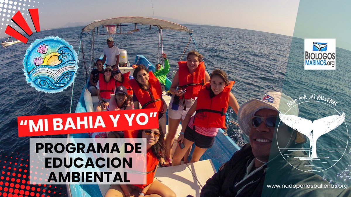nadoXballenas's tweet photo. 🚸 Educación ambiental: Programa que sensibiliza a niños  sobre la conservación marina mediante talleres y actividades prácticas.

👉 Ver video completo en https://t.co/GqLrHOY1Ez

#NadoPorLasBallenas #EducacionAmbiental #bahiadebanderas #Conservacion #puertovallarta #ULTIMAHORA https://t.co/Kni6KrhKrp