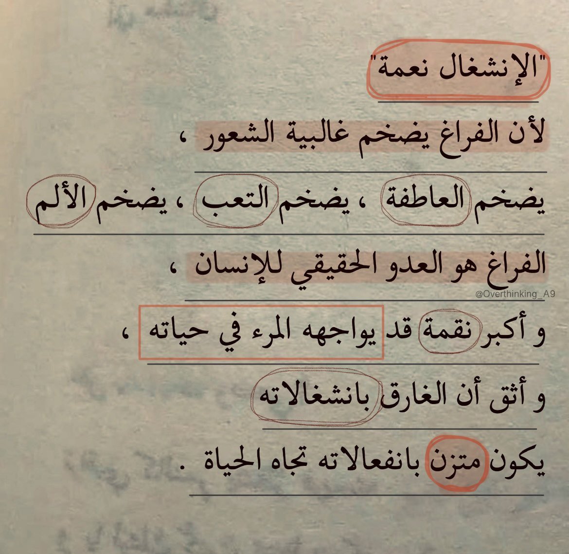 нαиeи tweet media