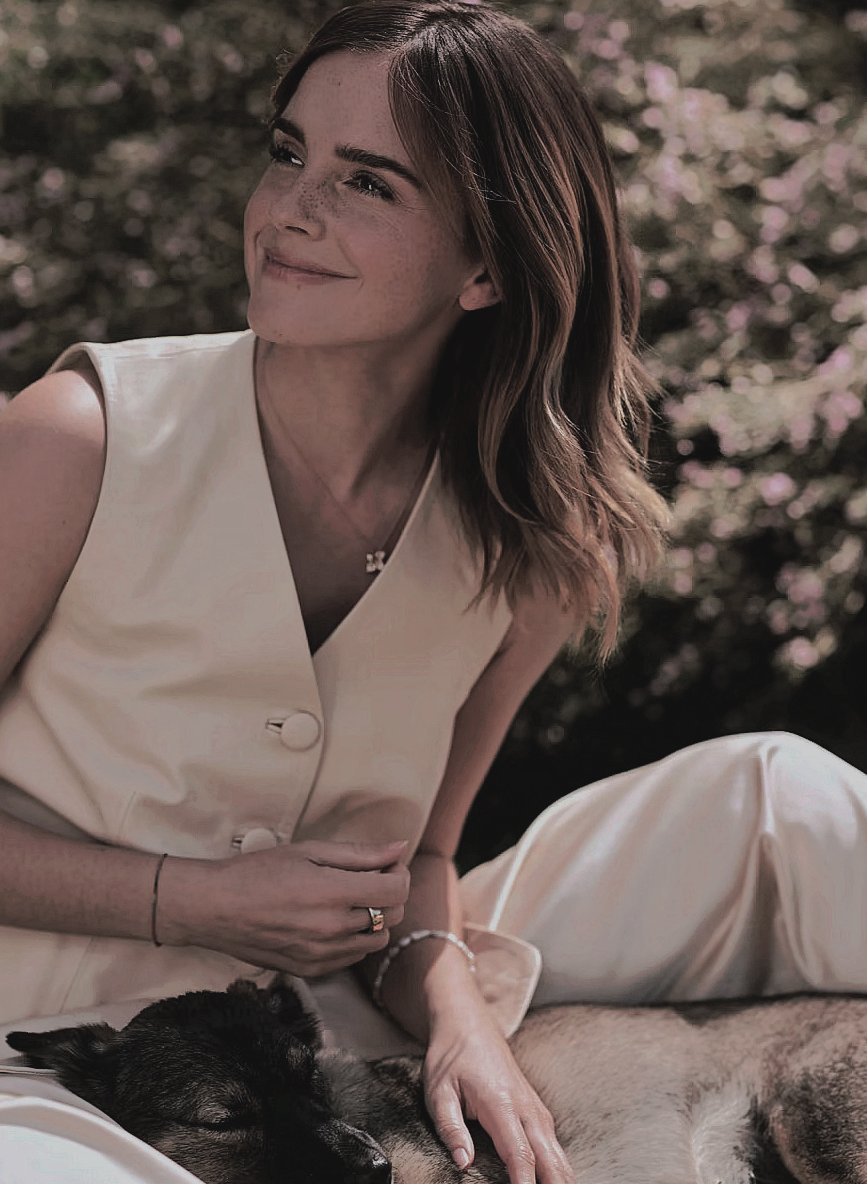 ᅠᅠ────ᅠℱ𝗈𝗋𝖾𝗂𝗀𝗇 𝒮𝖾𝖼𝗋𝖾𝗍𝖺𝗋𝗒 𝒢𝗋𝖾𝖾𝗇 tweet media