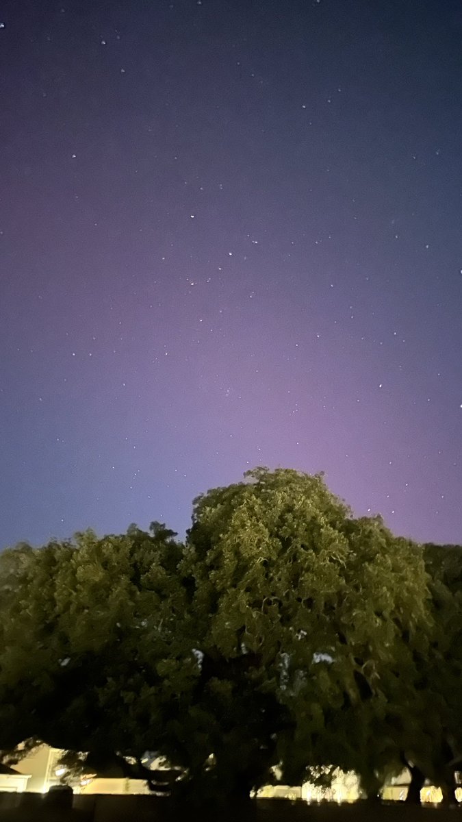 ElCidFan's tweet photo. Aurora Borealis from Cainhoy area of Charleston. #NorthernLights https://t.co/1iNwlQBL3J