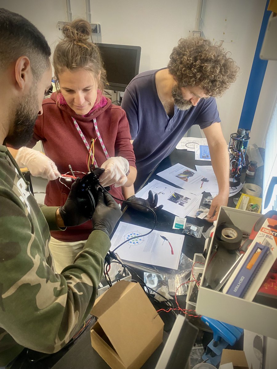 Dr Lars-Eric Heimbürger-Boavida tweet media