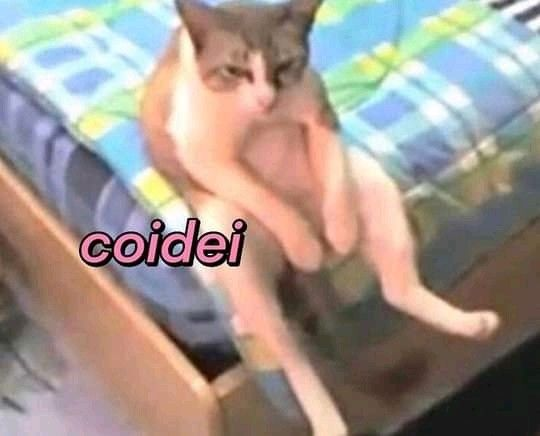 odeiootaco's tweet photo. rt se acordou e não queria https://t.co/0PFJmFivyU