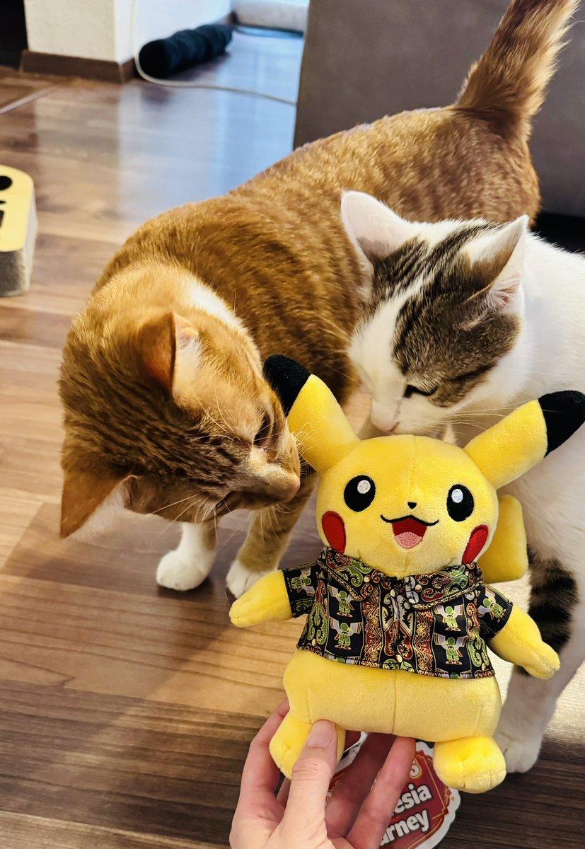 Neues Pika in der Sammlung 🥰