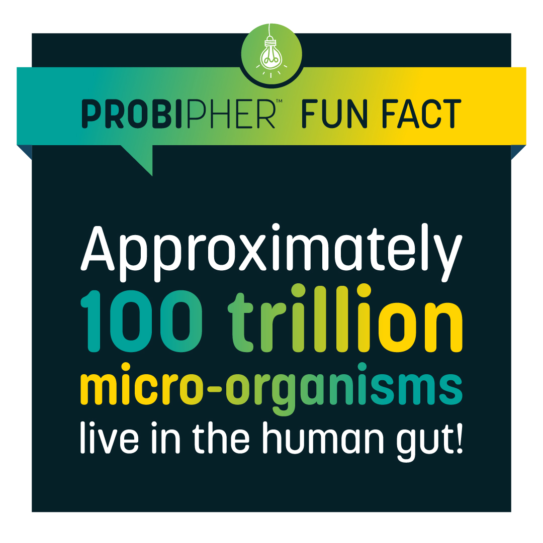 Fun Fact Friday: Did you know the human gut has more micro-organisms than there are stars in our galaxy? Supporting your gut microbiome is key to overall health and wellbeing!

#gutmicrobiome #microbialworld #healthandwellness