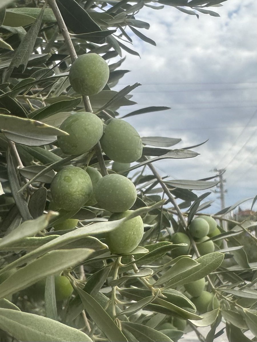 “Elinde tuttuğun her şey 
Kayıp gider,gönlünde tut…!!!

La Ederi♥️