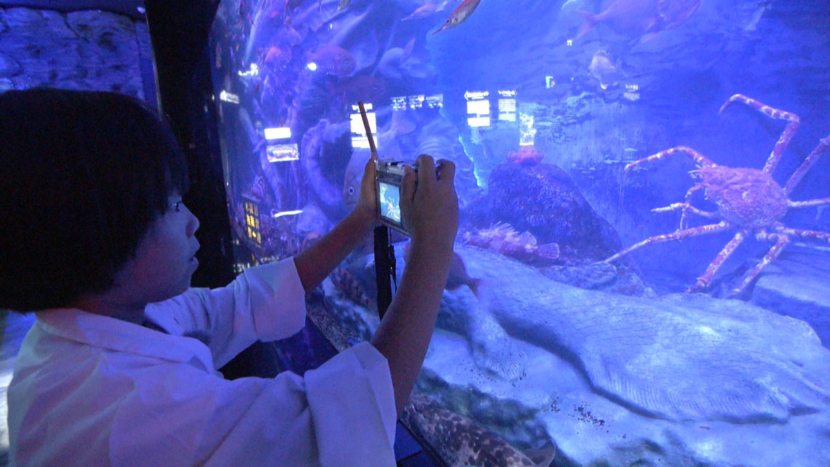 ／
  #こどもみらいテレビ 
 キミの夢をかなエール📣✨
 見どころ紹介②-2
＼

「深海魚の研究者になりたい🐠」りくとくんと向かったのは“深海魚の聖地”🐡
これまで図鑑でしか見られなかった深海魚たちを「触って」「食べて（！）」「観察して」研究します🧑‍🏫🔍
りくとくんのキラキラした表情に注目✨