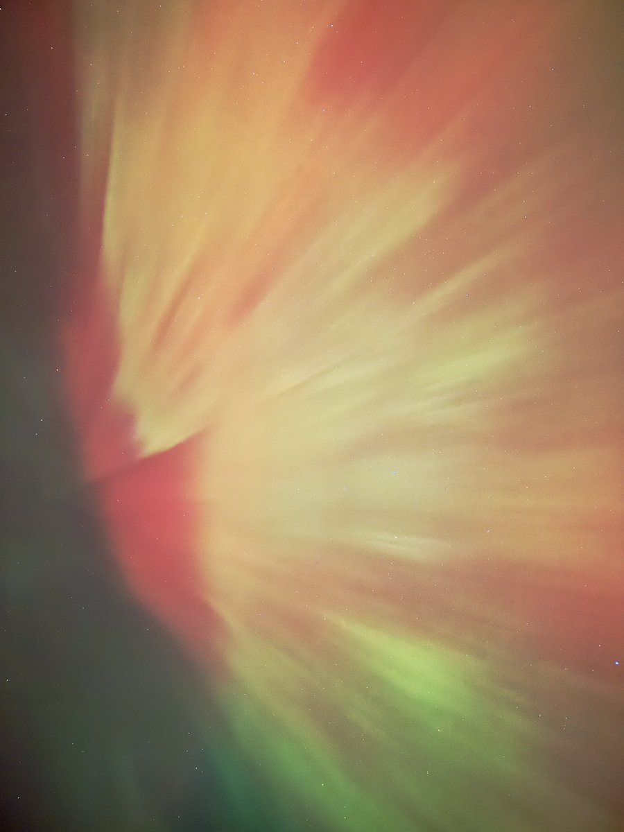 Avinography's tweet photo. Awesome Show

From Caledon, Ontario 

 #aurora #auroraborealis #theweathernetwork #ontario #auroraalerts #auroraforecast #blogto #Toronto #Canada 

@blogTO @weathernetwork https://t.co/d1Q4b33lA6