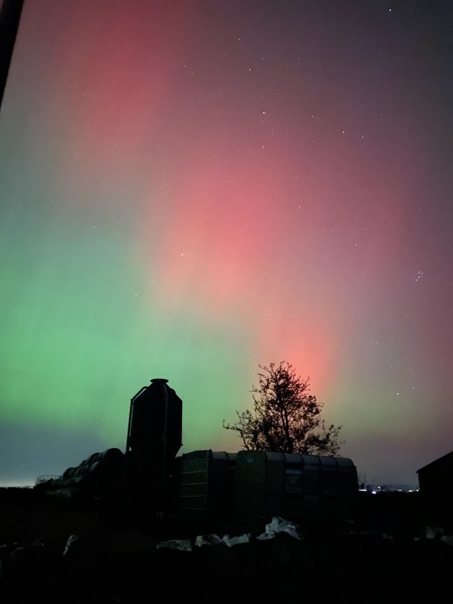 Delta's Coach Adventures tweet media