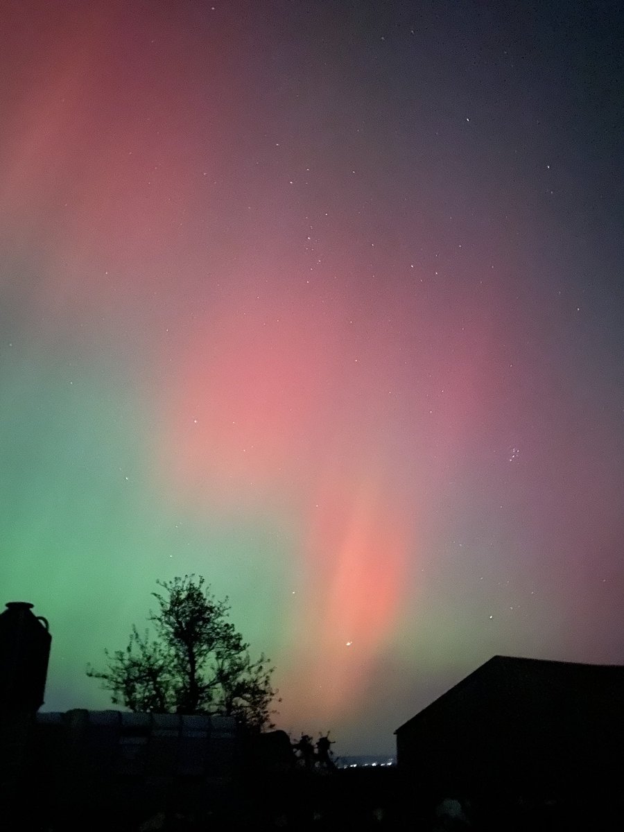 Delta's Coach Adventures tweet media