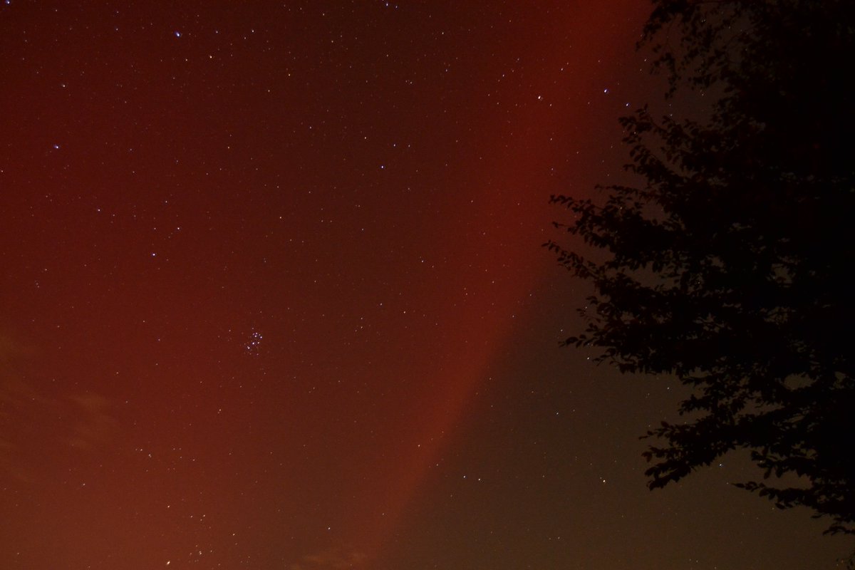 Auré Mi tweet media