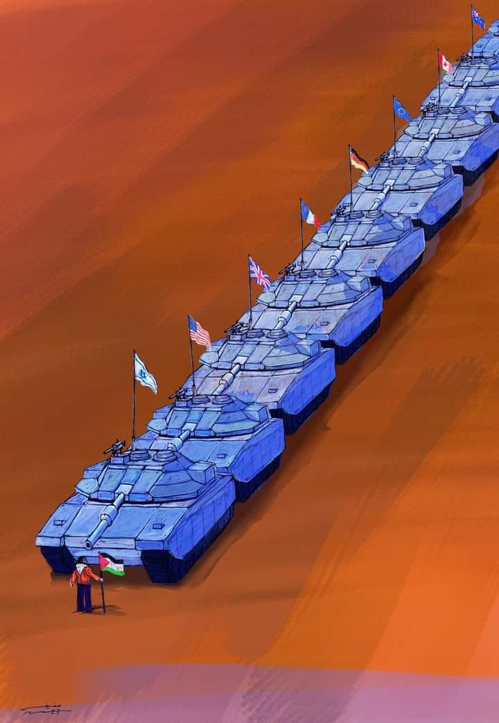 ZZ 🇨🇭🇪🇸 tweet media