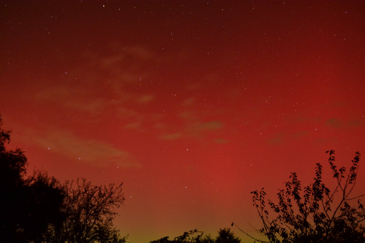 Auré Mi tweet media