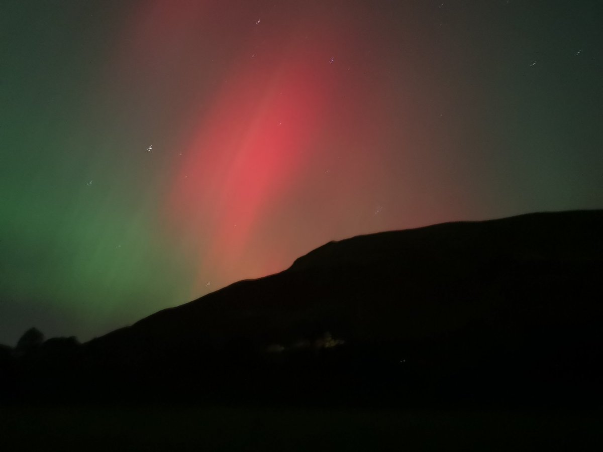 Victoria Graham tweet media