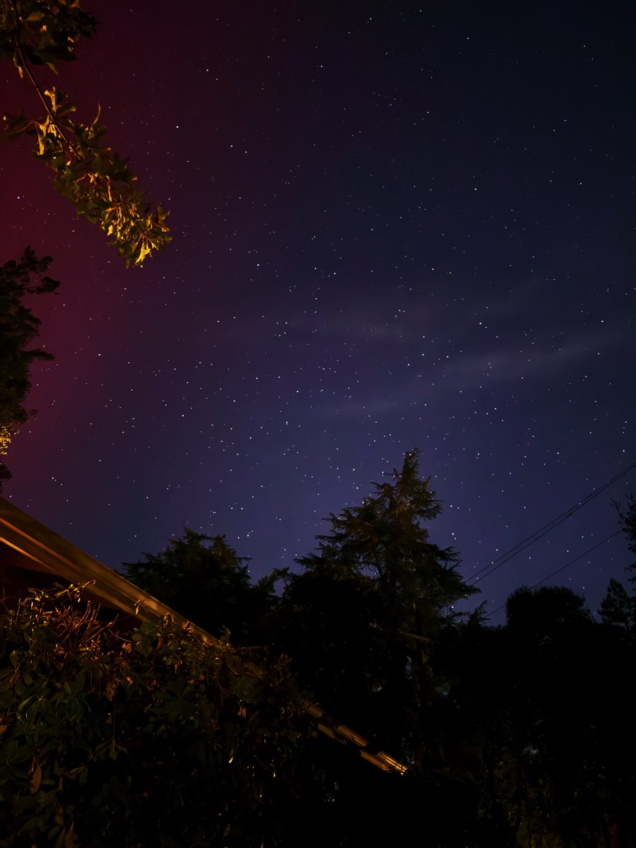 I don’t know where the sunbeams and the starlights begin. It’s all a mystery ✨