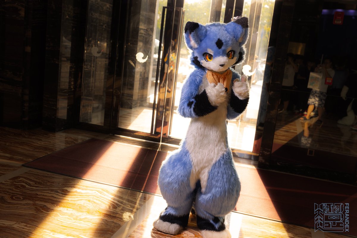 阳光正好☀️

📸:翼轩
#FursuitsFriday