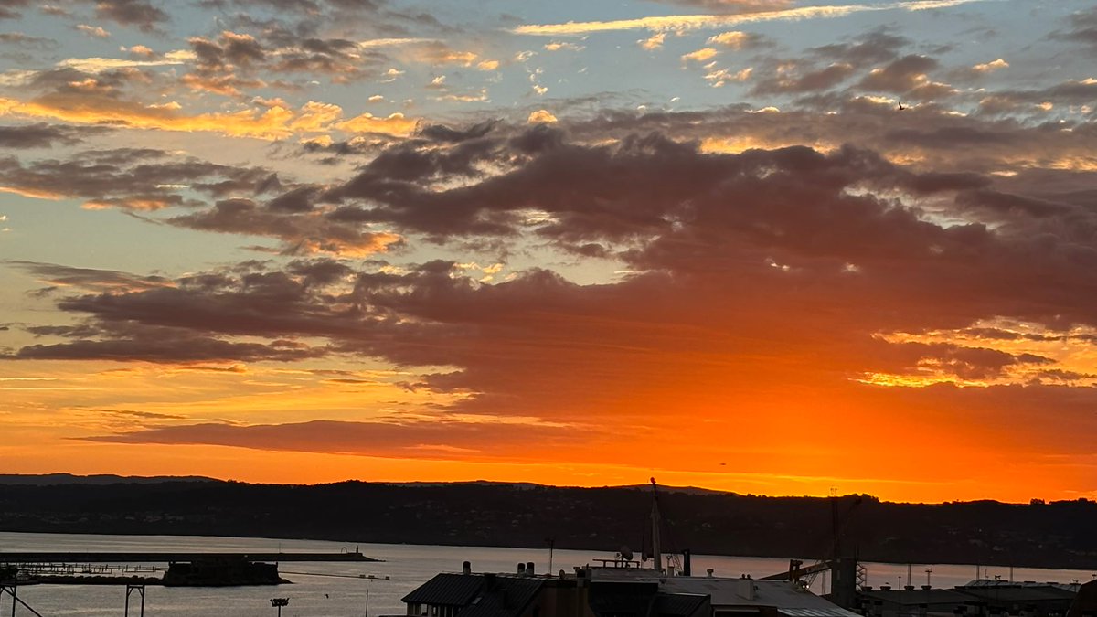 Elia González Guitián tweet media