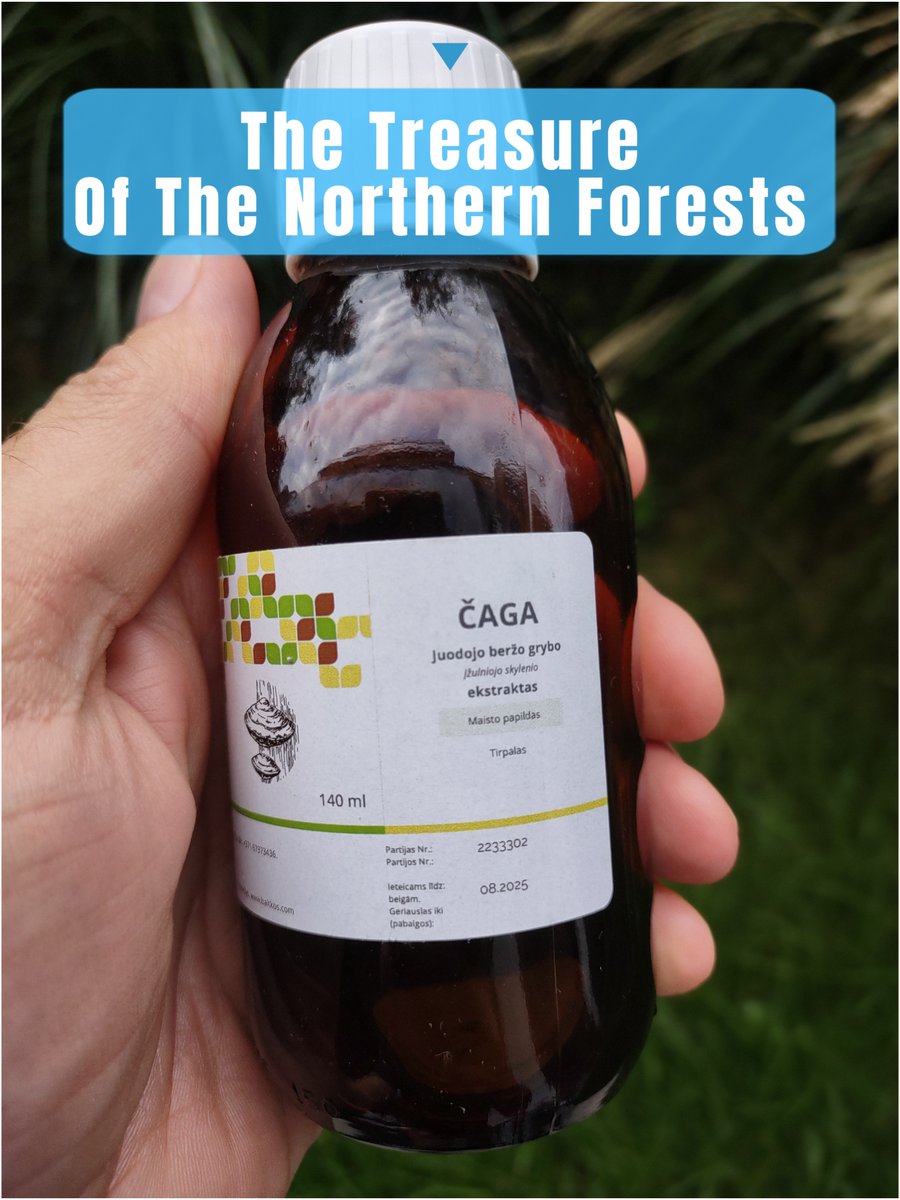 🌿Chaga is a health powerhouse! 
Boosts immunity, fights free radicals, and thanks to melanin, supports healthy hair and skin. 

Do you know its full potential? 🔥 

#Chaga #health #superfoods #longevity