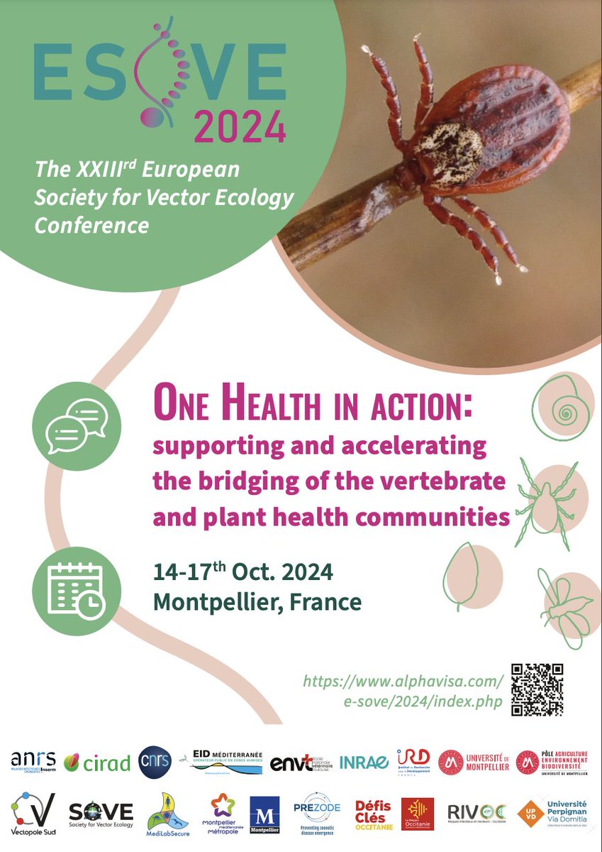 GlobalVectorHub (@globalvectorhub) on Twitter photo 🧐Will you be attending the 23rd European Society for #VectorEcology Conference (#ESOVE2024)? 🪰🦟🕷️
Drop by our #poster (S6-P07) and learn more about the amazing features of the <a href="/GlobalVectorHub/">GlobalVectorHub</a>! See you in #Montpellier! #OneHealth @_SOVE_
alphavisa.com/e-sove/2024/in… 🧐Will you be attending the 23rd European Society for #VectorEcology Conference (#ESOVE2024)? 🪰🦟🕷️
Drop by our #poster (S6-P07) and learn more about the amazing features of the <a href="/GlobalVectorHub/">GlobalVectorHub</a>! See you in #Montpellier! #OneHealth @_SOVE_
alphavisa.com/e-sove/2024/in…
